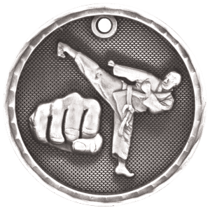 3D Sport Medal - Martial Arts