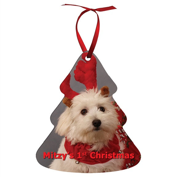 Gloss Aluminum Ornament