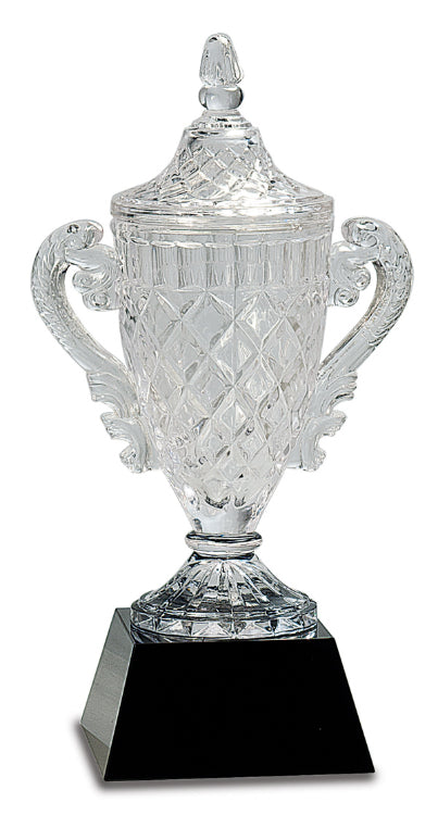 Crystal Cup Award