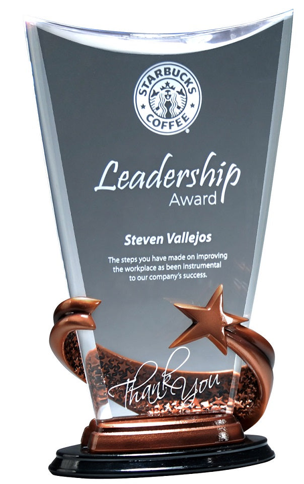 Bronze Brilliance Star Award