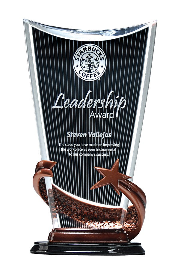 Bronze Brilliance Star Award in Radiant Pattern