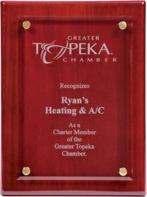 10 1/2" x 13" Floating Glass Plaque