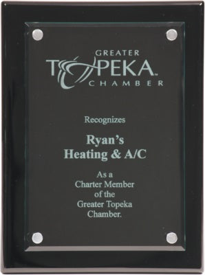 10 1/2" x 13" Floating Glass Plaque