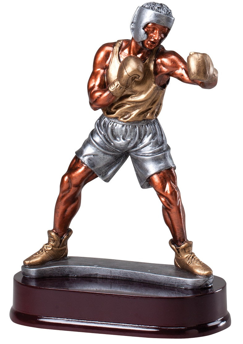 Boxer Punching Resin