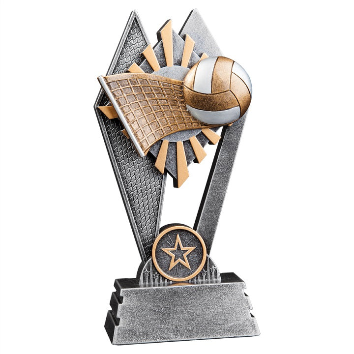 Volleyball Sun Ray Award