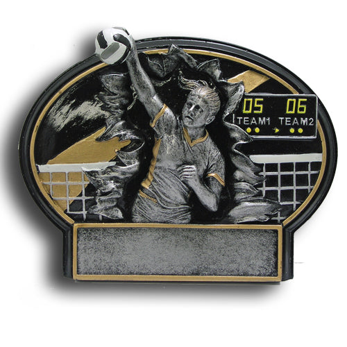 Volleyball Burst Thru Resin Plate