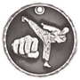 3D Sport Medal - Martial Arts
