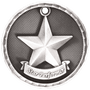 3D Academic Medal - Star Performer