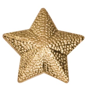 Star Chenille Pin