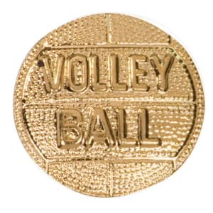 Volleyball Chenille Pin