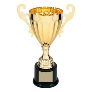 Metal Cup Trophy - 9.75"