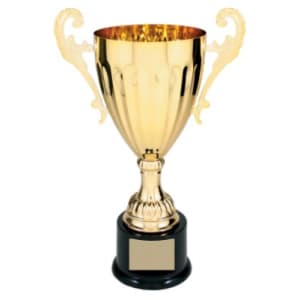 Metal Cup Trophy - 12"