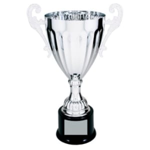 Metal Cup Trophy - 13.25"