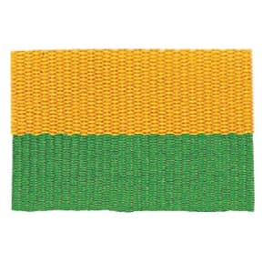 Neck Ribbon - Kelly Green & Gold
