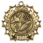 Ten Star Medal - Science