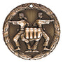 XR-269 Karate Medal