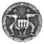 XR-269 Karate Medal