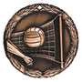 XR-224 Volleyball Medal