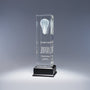 Luminosity Award