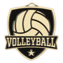 Shield Medal - Volleyball