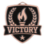 Shield Medal - Victory