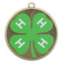 Velocity Medal - 4-H