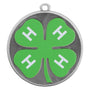 Velocity Medal - 4-H