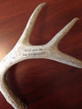 Engraved Antler 1