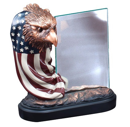 American Eagle - Flag Around Eagle Head with Glass Plaque